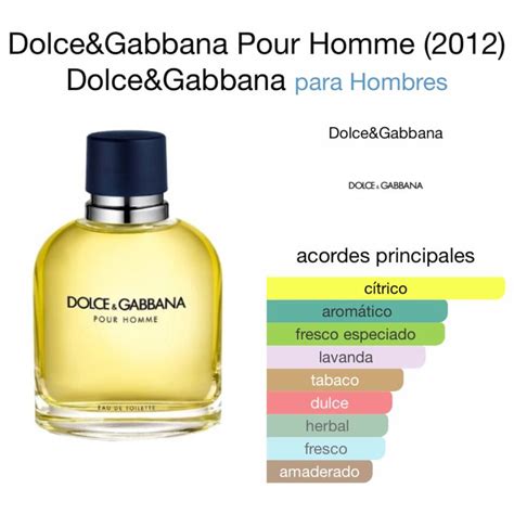 dolce gabbana pour homme vintage|Dolce & Gabbana pour homme notes.